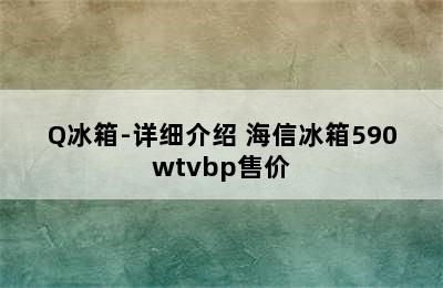 海信BCD-590WT/Q冰箱-详细介绍 海信冰箱590wtvbp售价